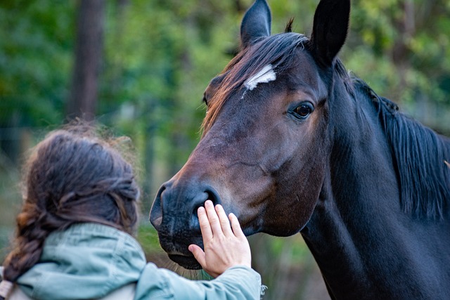 Gaining Maximum Profits with Football Betting
Unleashing Success: Strategies for Horse Racing Betting
Expert Tips for Successful Horse Racing Betting
Maximizing Profits with Horse Racing Betting Strategies